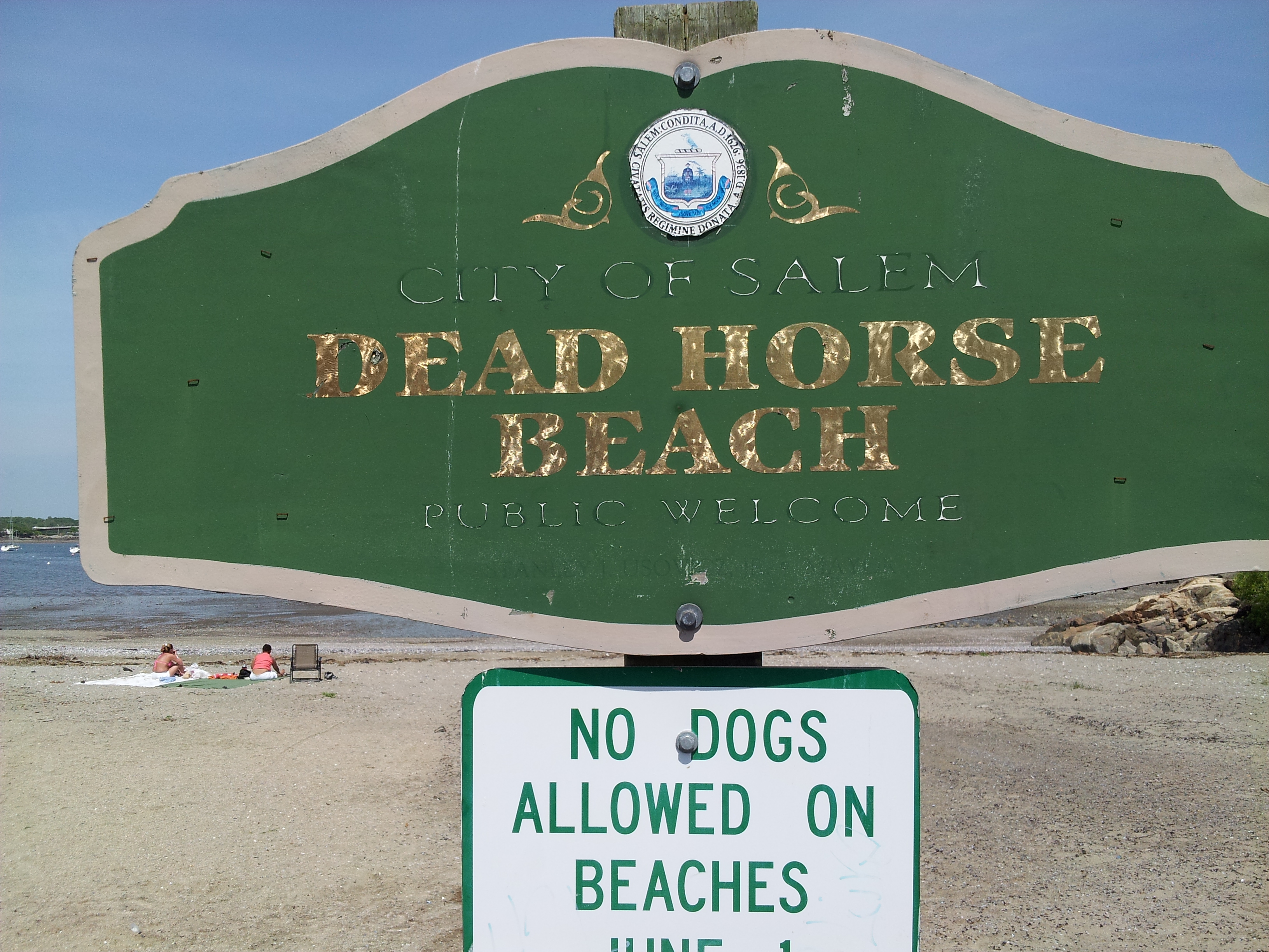 Net Atlantic's Beach Clean-up Day