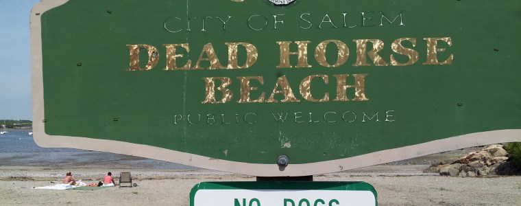 Net Atlantic's Beach Clean-up Day